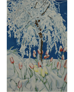 Donald Roy - Tulipes sous la neige